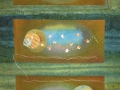 Cosmos - Detail