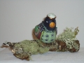 Spotted Towhee - 5" x 8"